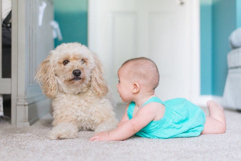 Infants Need Movement and Play